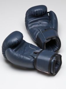 Boxing Gloves Navy